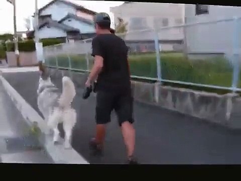Il porte son chien pendant sa balade - Amour indescriptible entre un maitre et son animal