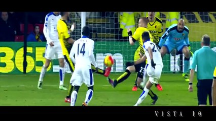 Riyad Mahrez - PFA player of the year 2016