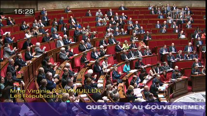 Marisol Touraine : vaccin contre la dengue à La Réunion ?