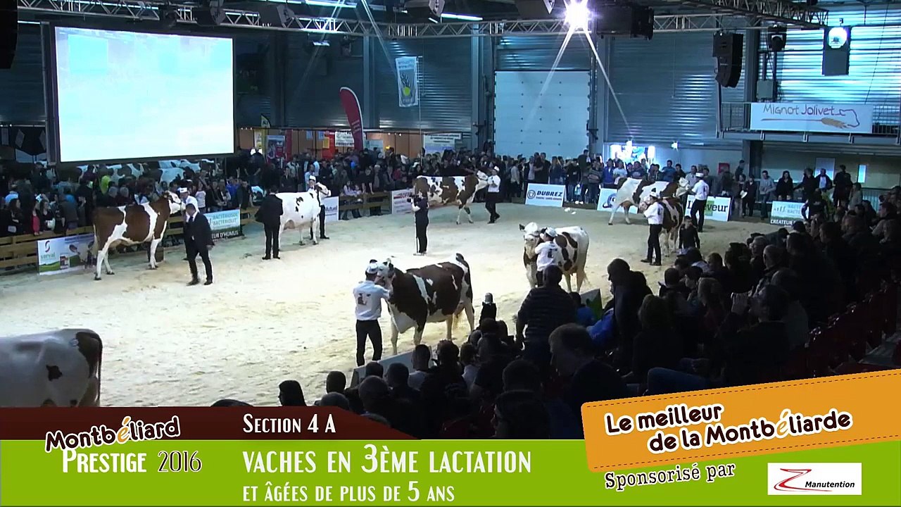 Montbéliard Prestige Streaming Live (2)