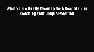[Read Book] What You're Really Meant to Do: A Road Map for Reaching Your Unique Potential Free