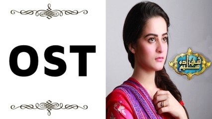 Shehzada Saleem Full OST I Ary Digital