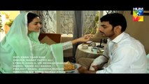 Zara Yaad Kar OST By Rahat Fateh Ali Khan - Hum Tv