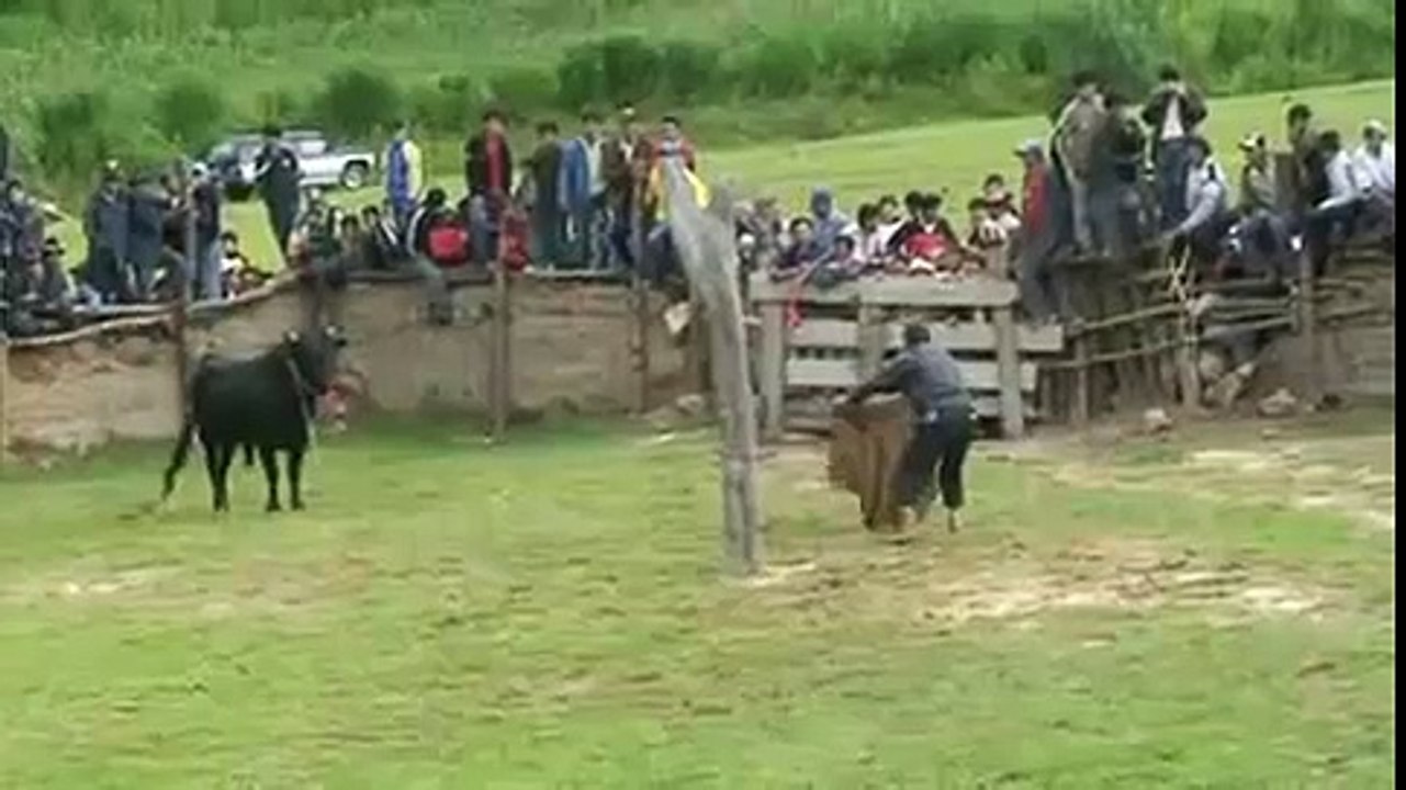 Corrida ! La vengeance du taureau.