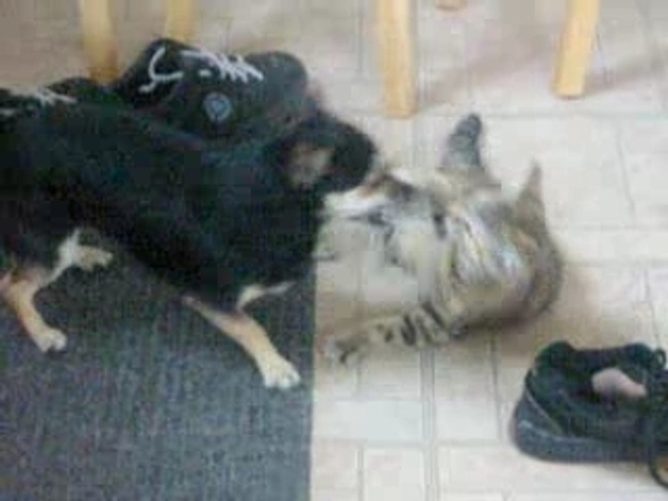 Maya et daisy video