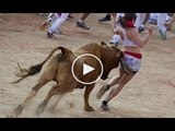 Bull butting her ass !! LOL !!