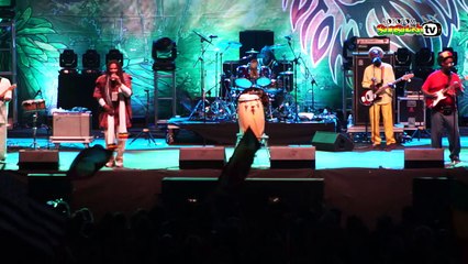 TWINKLE BROTHERS live @ Main Stage 2014