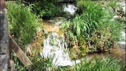 Jadranka Stojaković - Što te nema