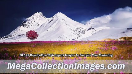 Mega Collection - High Impact Stock Images Review