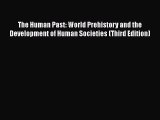 [Read Book] The Human Past: World Prehistory and the Development of Human Societies (Third