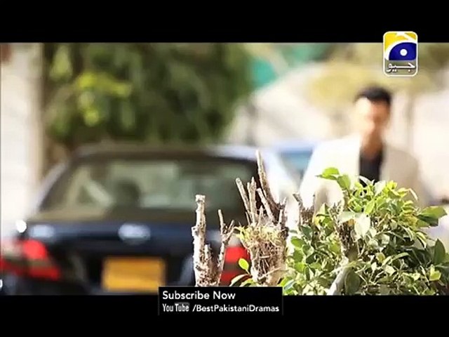Jannat EP 113 & 114