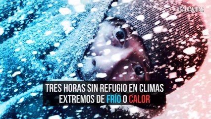 Nueve datos que podrían salvar tu vida