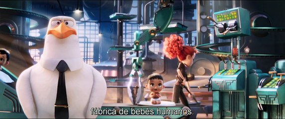 Cegonhas - A História Que Não Te Contaram