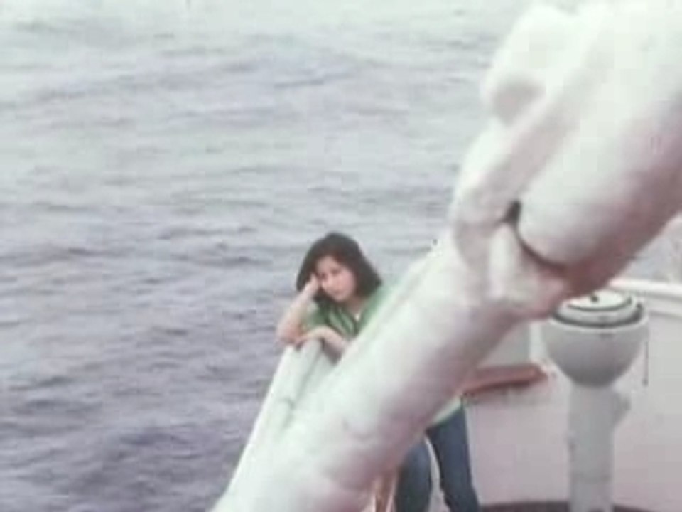 Natsuirono Omoide - Tulip