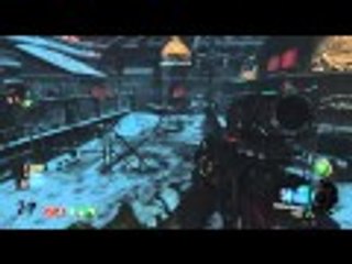 Worst Call Of Duty zombies perk