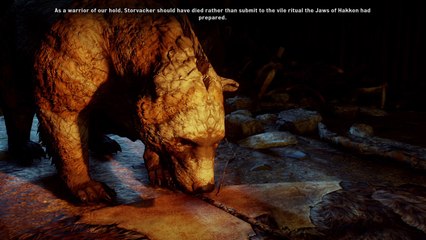 Judging the Problem Bear | Dragon Age : Inquisition