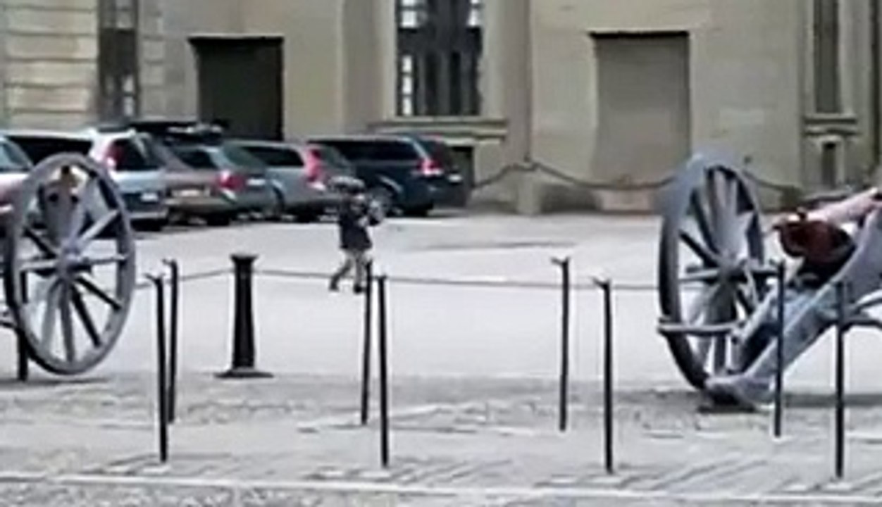 Il Bambino Si Avvicina Alla Guardia Reale, E Per Quello Che Fa Dopo STO ANCORA RIDENDO!!