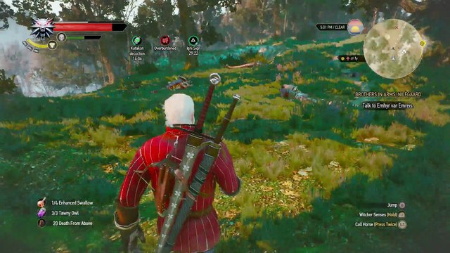 WITCHER 3 DEATH MARCH! WALKTHROUGH 221 - BROTHERS IN ARMS