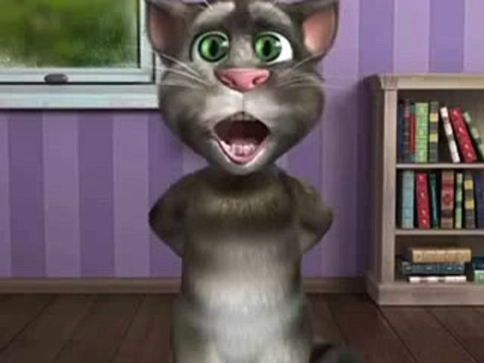 funny Cat
