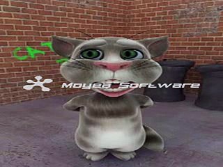 funny cat2
