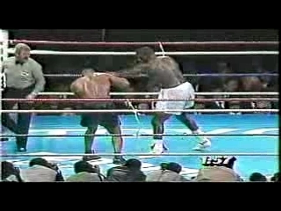 L'histoire des champion poids lourd 1882 a nos jours