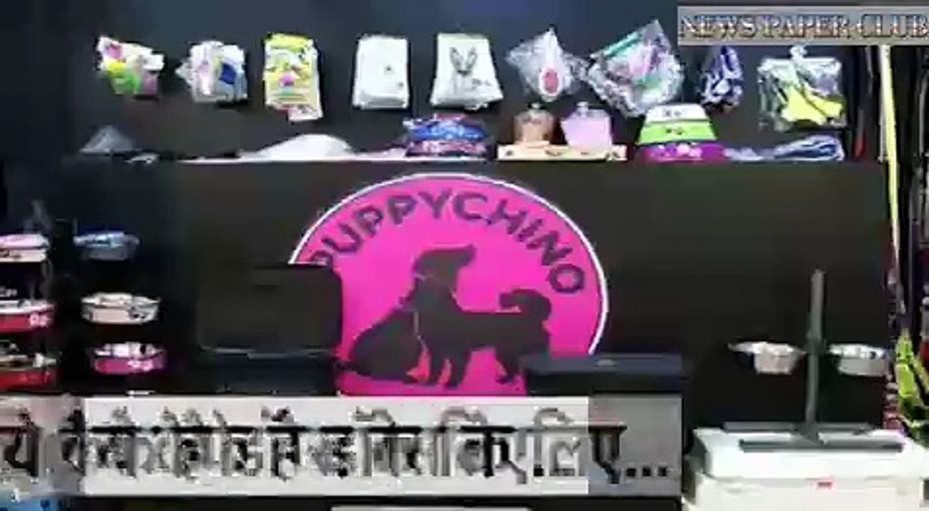 dog cafe in delhi