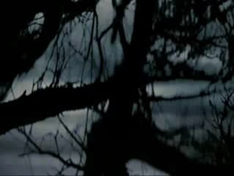 Memoirs of a Geisha (Roller Girl-Geisha Dreams)