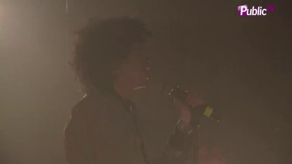 Concert Voltage : Les artistes au rendez-vous pour une ambiance sauvage !