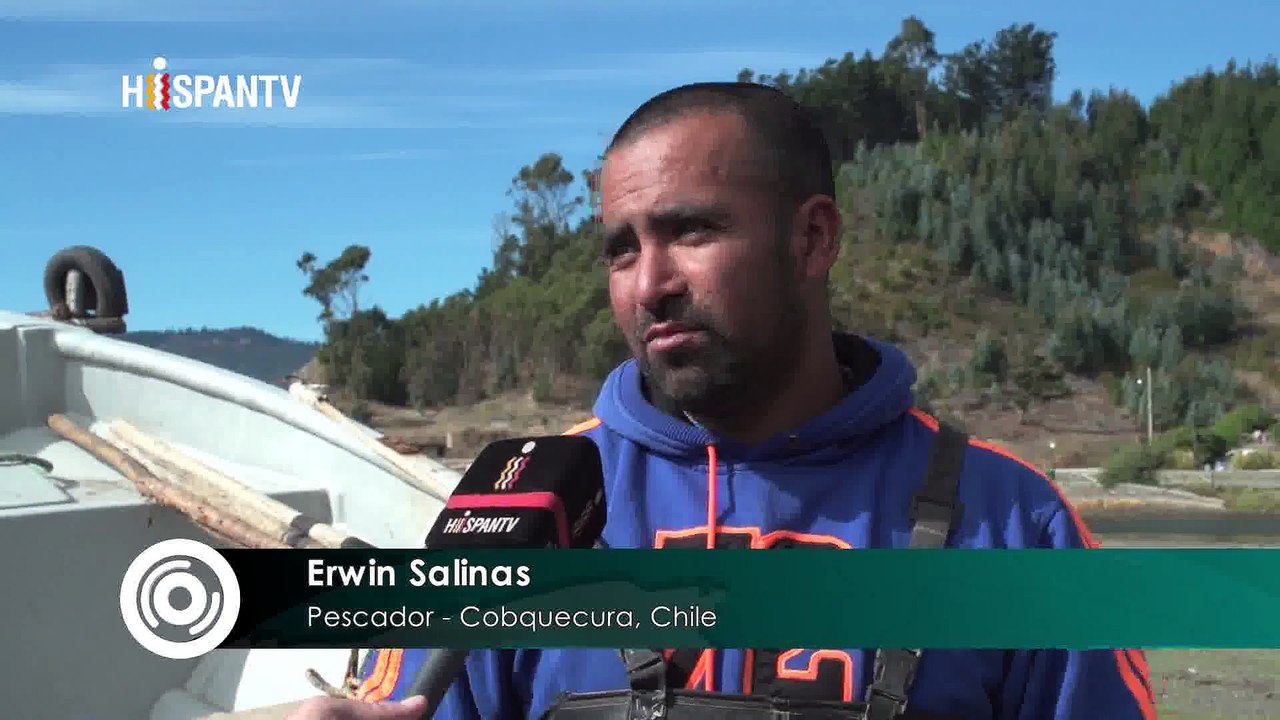 Cámara al hombro - Proyectos de la industria salmonera en Chile