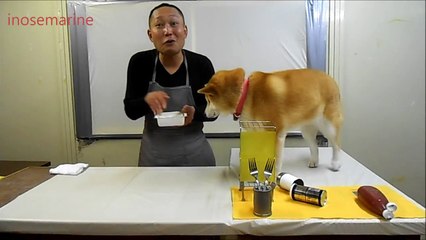 邪魔されクッキング