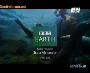 Deadliest Catch 17th July 2014 Video Watch Online pt1