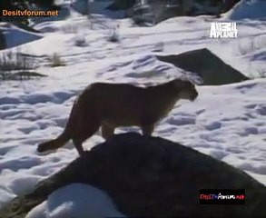 Hunters 11th August 2014 Video Watch Online Pt3