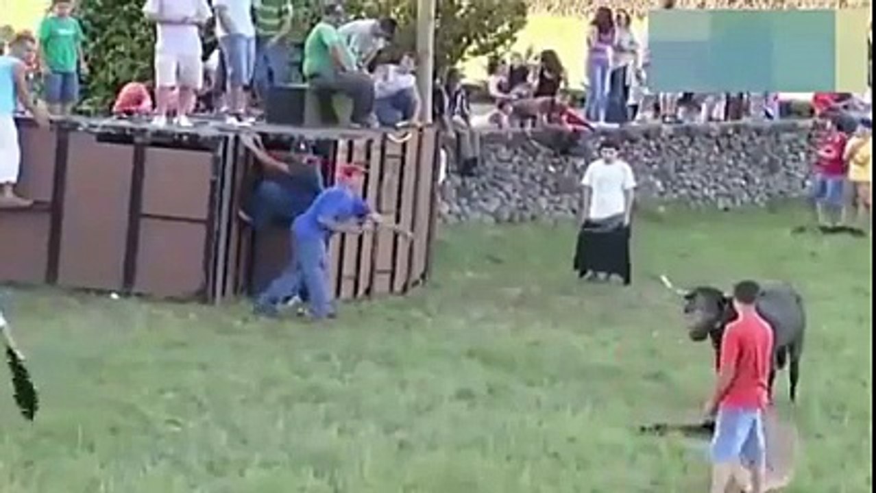 Animal attacks - Animal attacks compilation - Angry Bulls attacking people