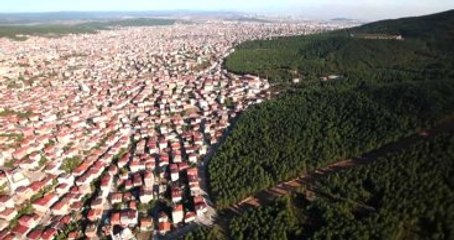 Ormanları İmara Açabilecek Yönetmelik Resmi Gazete'de Yayımlandı