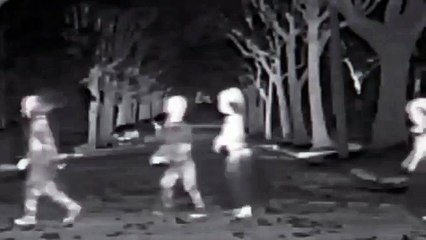 Audi night vision assistant Halloween Commercial - Trick Or Treat