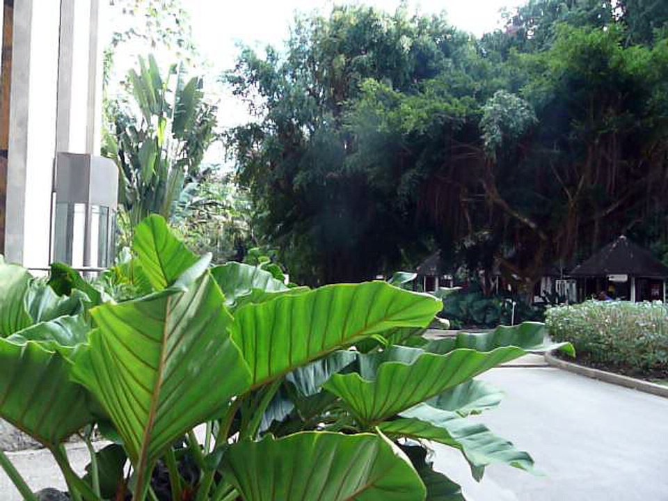 BARBADOS 057 P1080562