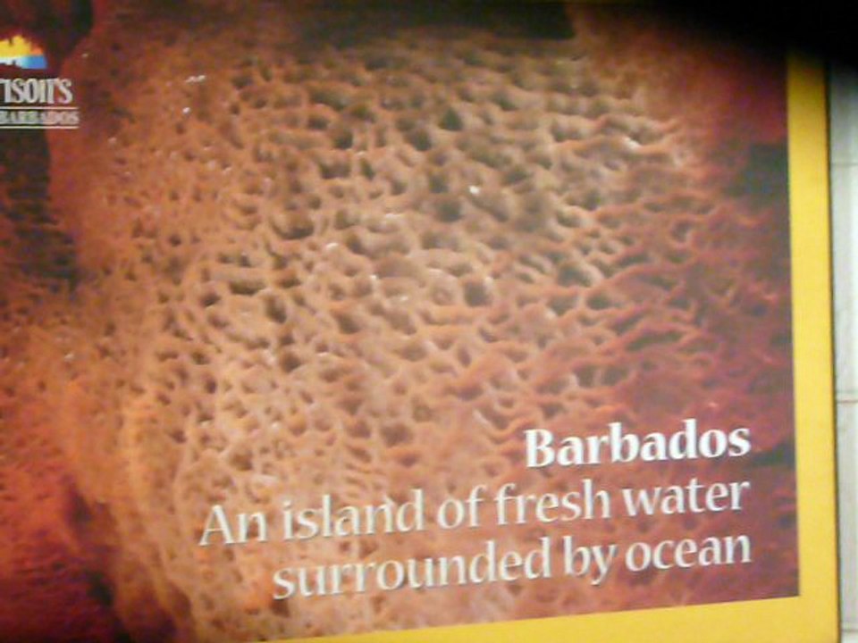 BARBADOS 055 P1080546