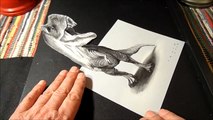 Drawing 3D T-Rex, Optical Illusion Trick Art by Vamos