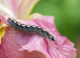 사다리조작픽 ≪superCAR123,COM(코드:6623)≫パ스타실시간중계 검증된놀이터