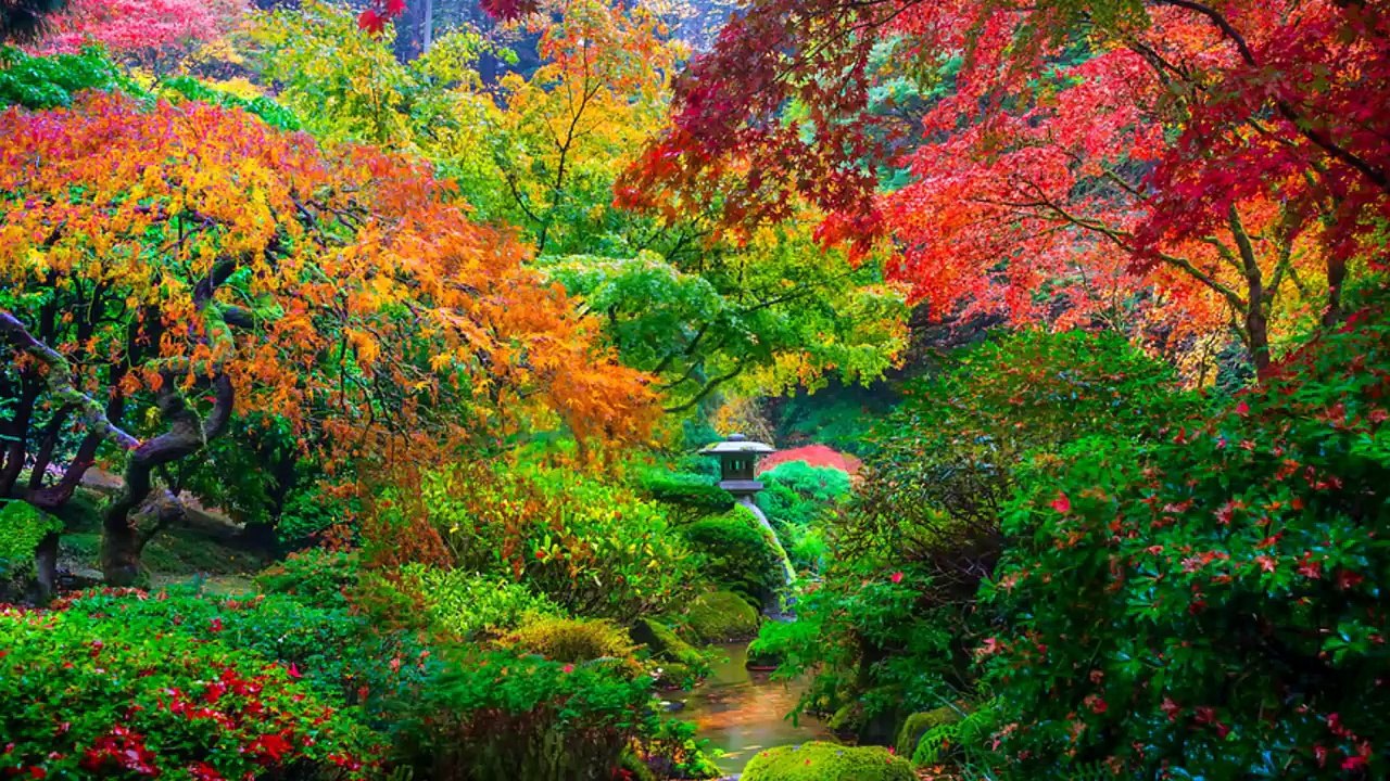 Ryuichi Sakamoto (Seven Samurai - Ending theme)  坂本龍一（七人の侍 - エンディングテーマ）