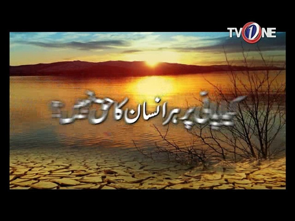 Kya Pani Par Har Insaan Ka Haq Nahi? Drama Serial Mann Pyasa Kay Hero Arib Ka Aap Se Sawal