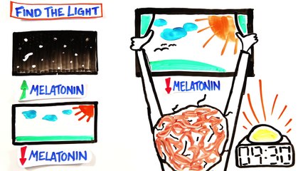 7 Tips To Wake Up Without Coffee