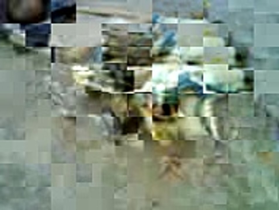 chooza (baby hen) with rari in funny