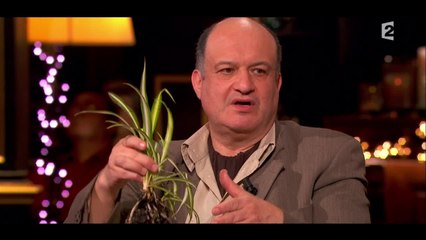 Il fait pousser des plantes dans le désert