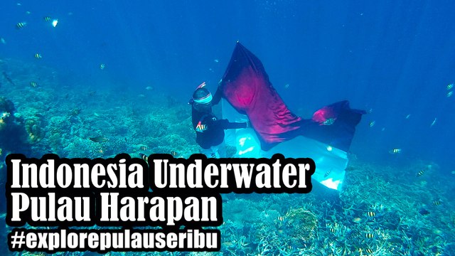 [Explore Pulau Seribu] Indonesia Underwater - Wisata Pulau Harapan di Kepulauan Seribu Utara