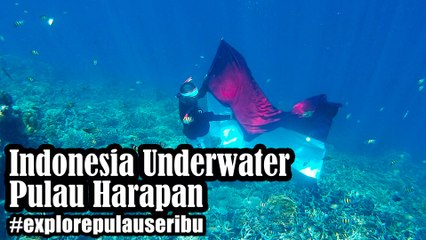 [Explore Pulau Seribu] Indonesia Underwater - Wisata Pulau Harapan di Kepulauan Seribu Utara