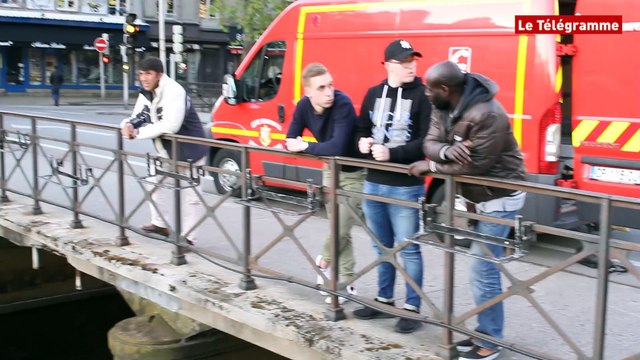 Quimper. Dénouement heureux pour le chevreuil de l'Odet