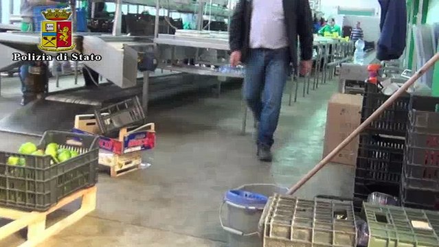 Sequestrati 35.000 kg di prodotti ortofrutticoli di dubbia provenienza