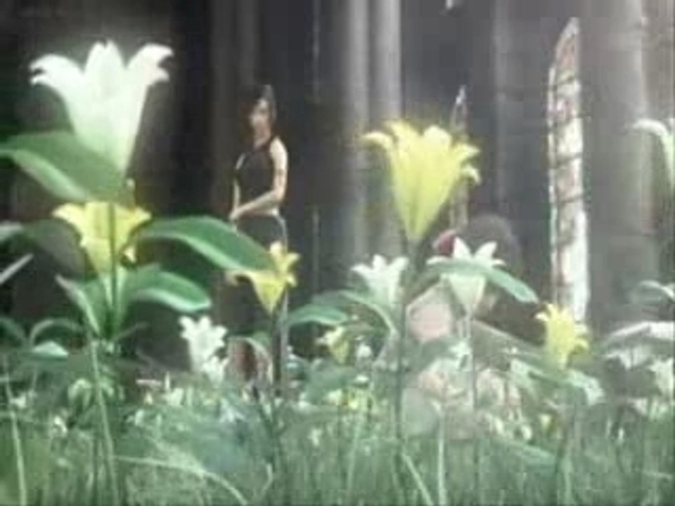 Soad chop suey - FFac