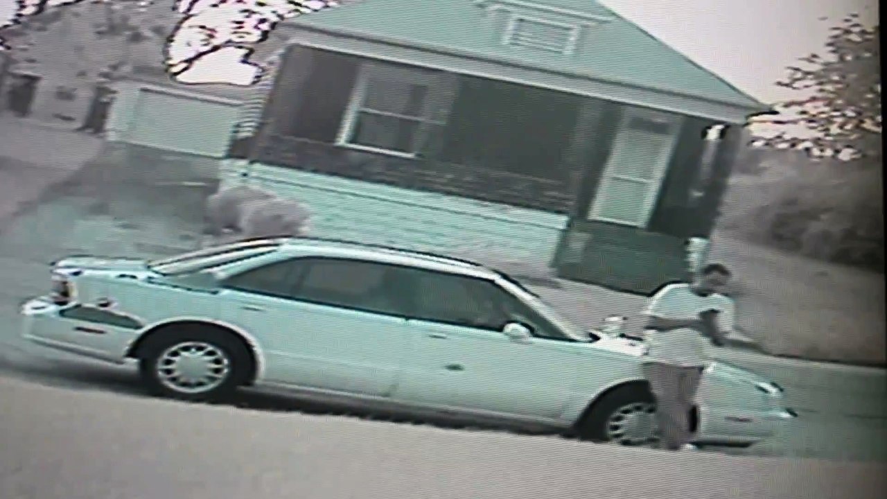 Un gars se fait attaquer par un chien dans la rue